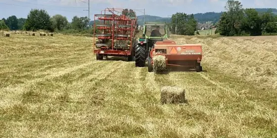 Pferdeheu ansehen