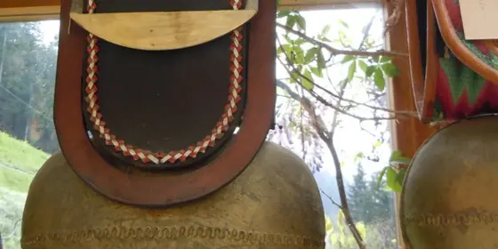 Tiroler Plumpe  ansehen