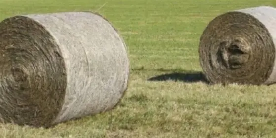 Heuballen zu verkaufen  ansehen