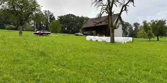 Grassiloballen 2025 Guter Qualit&auml;t (27 St&uuml;ck) ansehen