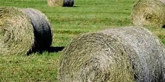 Heu Rundballen ansehen