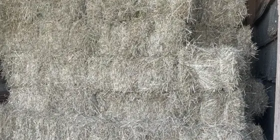 Heu in Kleinballen ansehen