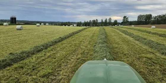 Sehr sch&ouml;ne Kunstwiesen Grassiloballen 26 stk. 1 schnitt am 28.4.25 gepresst ansehen