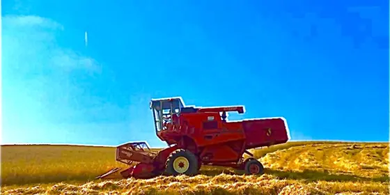 Stroh in Kleinballen ansehen Stroh in Kleinballen ansehen