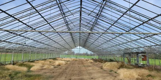 2 grosse Gew&auml;chsh&auml;user zu vermieten ansehen