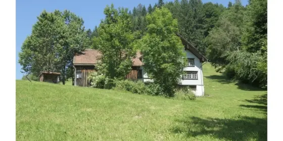 751m2 Wohnbauland mit S&auml;ntissicht ansehen