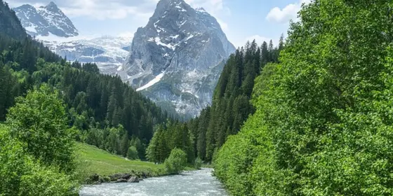 Landwirtschaftliche Parzellen in Gündlischwand ansehen