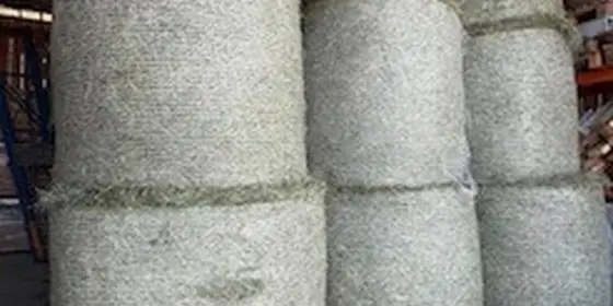 Emd Rund-/ Quaderballen Ernte 2025 ansehen