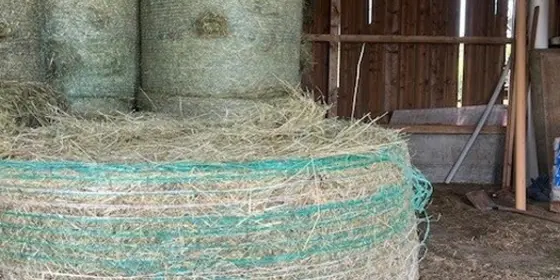 Heu Rund/ Kleinballen Ernte 2025 ansehen