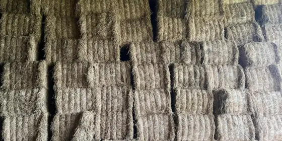 Naturwiesenheu &ndash; Zuchtqualit&auml;t &ndash; Rechteckige Ballen ansehen