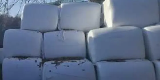 Maisballen Quader ansehen