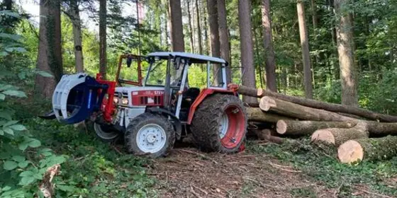 Waldparzelle / Waldgrundst&uuml;ck ansehen