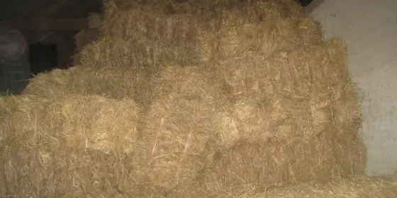 Bio-Heu Kleinballen ansehen