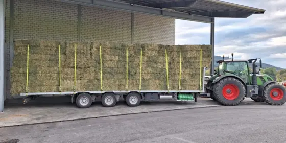 zu verkaufen top Bel&uuml;ftungsheu/emd in Quader oder Kleinballenpakete Ernte2025 ansehen