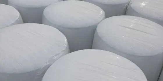 Maissiloballen ansehen