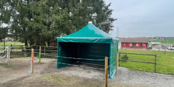 ASCONA Weidenzelt 4x4 ( Ganzjahresl&ouml;sung ) ansehen