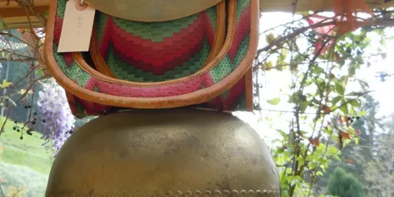 Plumpen oder Schellen ansehen