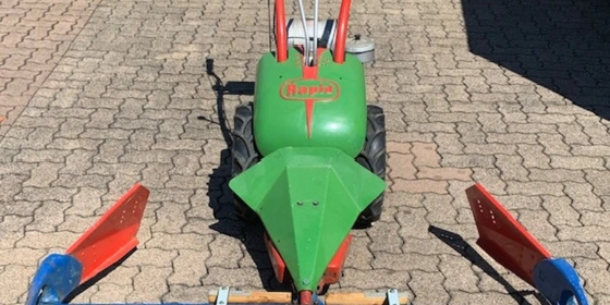 Rapid Rex ansehen
