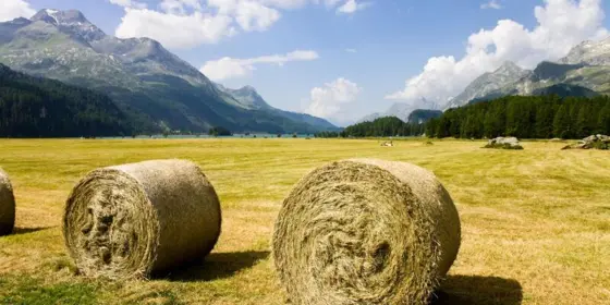 Schweizer Rund- und Quaderballen Heu ansehen